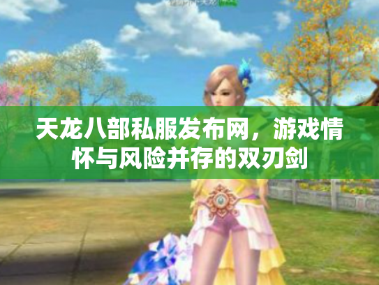 天龙八部私服发布网，游戏情怀与风险并存的双刃剑