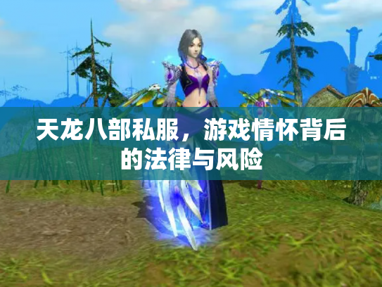 天龙八部私服，游戏情怀背后的法律与风险