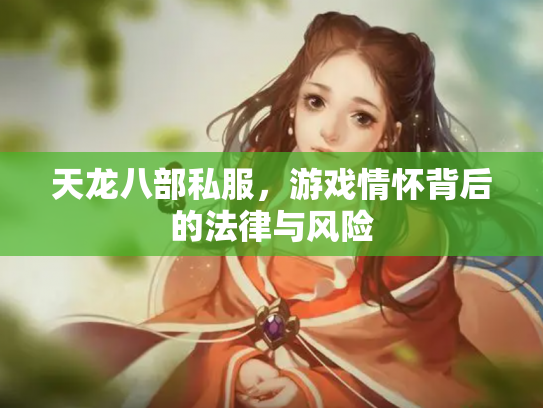 天龙八部私服，游戏情怀背后的法律与风险