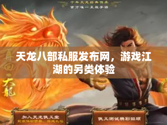 天龙八部私服发布网，游戏江湖的另类体验