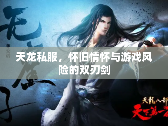 天龙私服，怀旧情怀与游戏风险的双刃剑