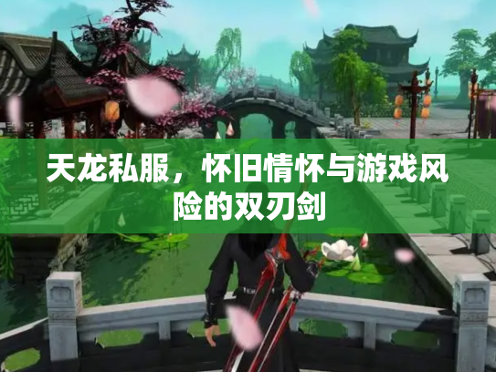 天龙私服，怀旧情怀与游戏风险的双刃剑