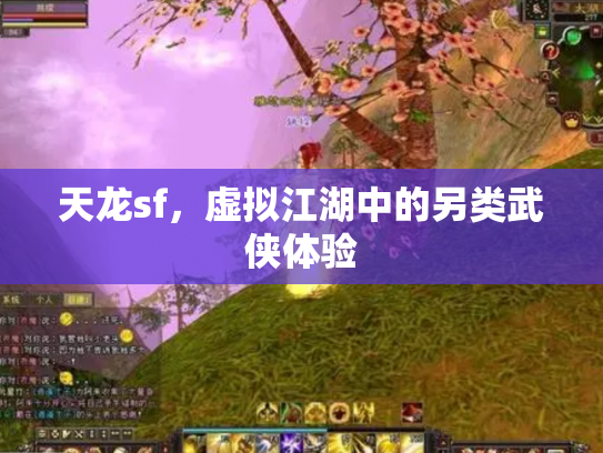 天龙sf，虚拟江湖中的另类武侠体验
