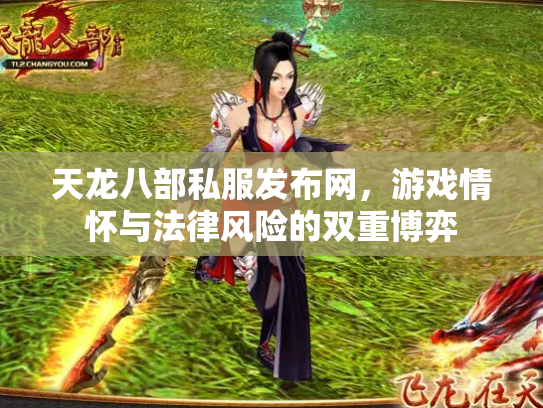 天龙八部私服发布网，游戏情怀与法律风险的双重博弈