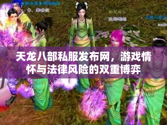天龙八部私服发布网，游戏情怀与法律风险的双重博弈