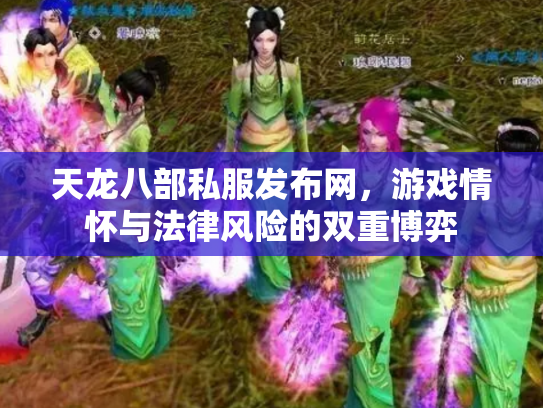 天龙八部私服发布网，游戏情怀与法律风险的双重博弈