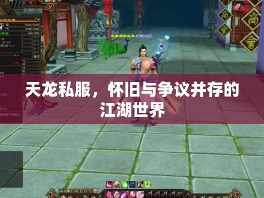 天龙私服，怀旧与争议并存的江湖世界