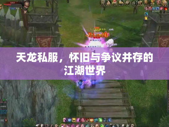 天龙私服，怀旧与争议并存的江湖世界