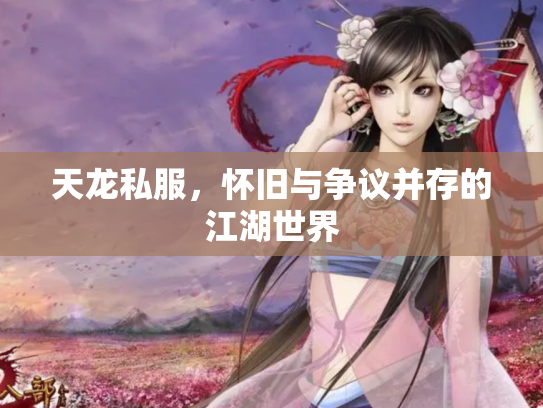 天龙私服，怀旧与争议并存的江湖世界