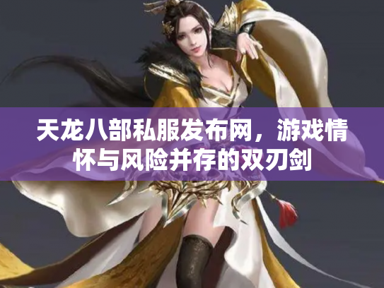 天龙八部私服发布网，游戏情怀与风险并存的双刃剑