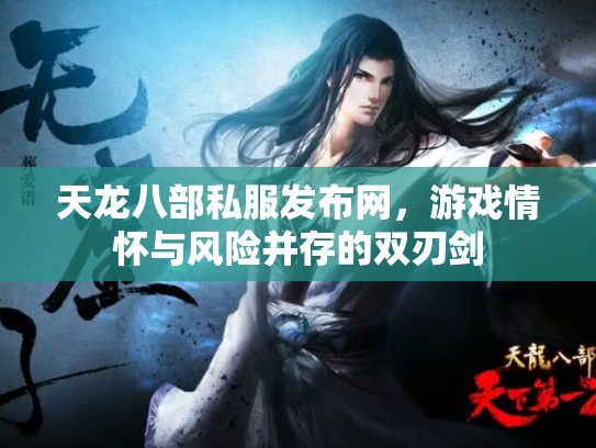 天龙八部私服发布网，游戏情怀与风险并存的双刃剑