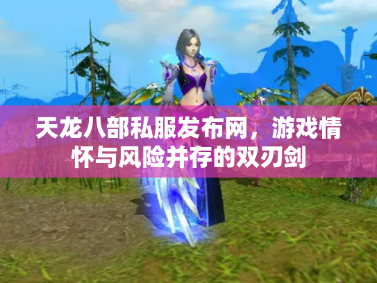 天龙八部私服发布网，游戏情怀与风险并存的双刃剑