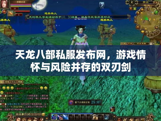 天龙八部私服发布网，游戏情怀与风险并存的双刃剑