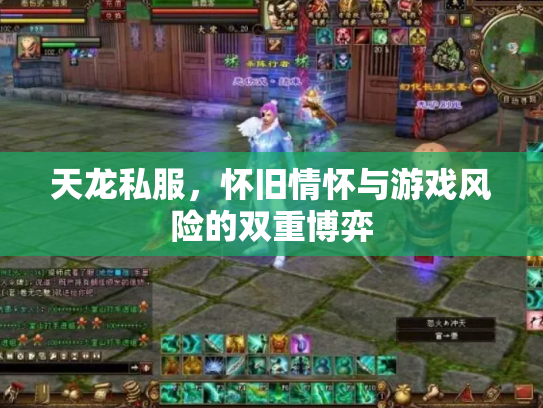 天龙私服，怀旧情怀与游戏风险的双重博弈