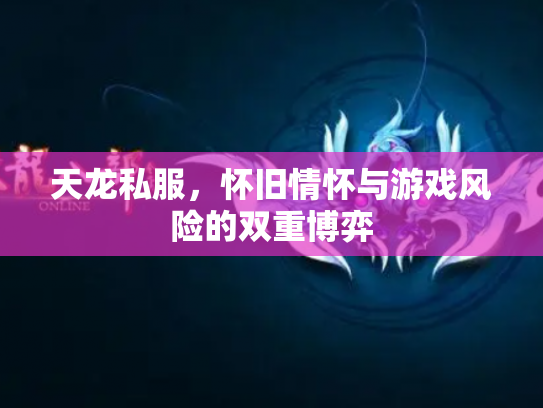 天龙私服，怀旧情怀与游戏风险的双重博弈