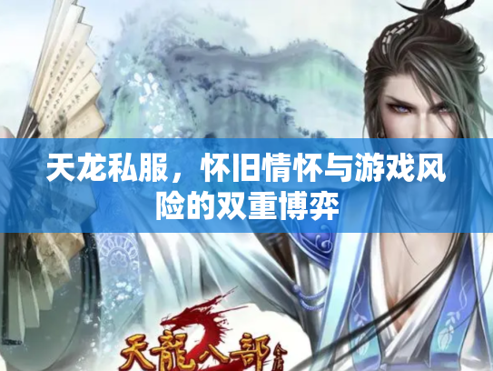 天龙私服，怀旧情怀与游戏风险的双重博弈
