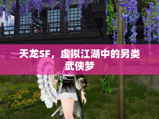天龙SF，虚拟江湖中的另类武侠梦