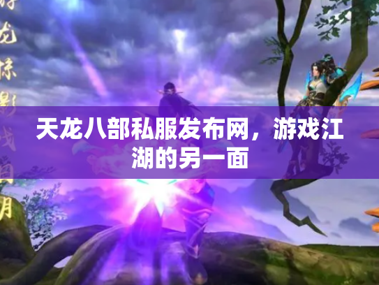 天龙八部私服发布网，游戏江湖的另一面