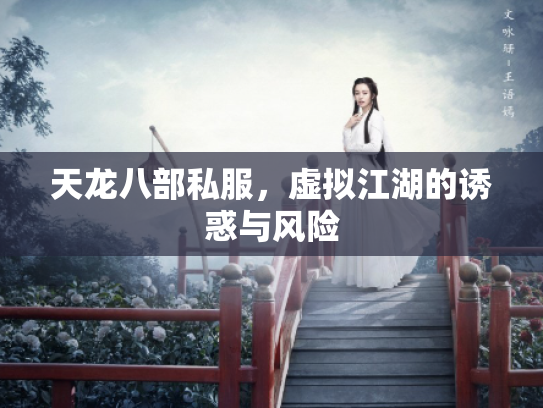 天龙八部私服，虚拟江湖的诱惑与风险
