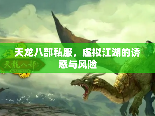 天龙八部私服，虚拟江湖的诱惑与风险