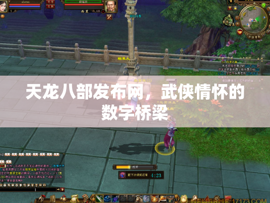 天龙八部发布网，武侠情怀的数字桥梁