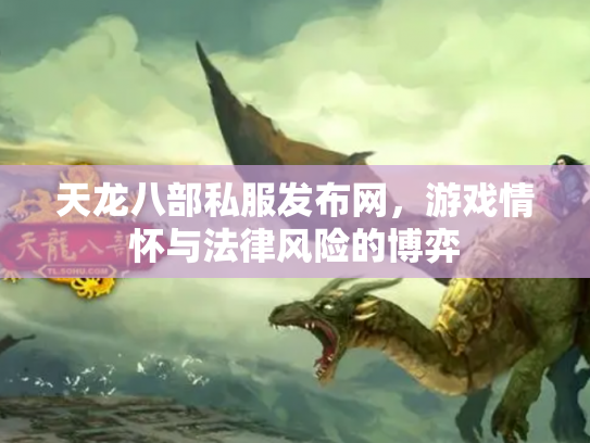 天龙八部私服发布网，游戏情怀与法律风险的博弈