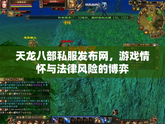 天龙八部私服发布网，游戏情怀与法律风险的博弈