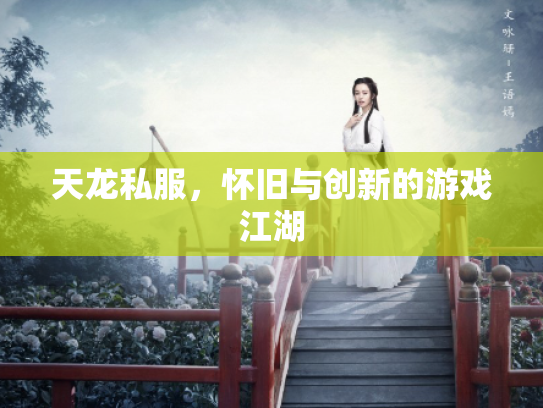 天龙私服，怀旧与创新的游戏江湖