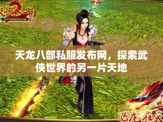 天龙八部私服发布网，探索武侠世界的另一片天地