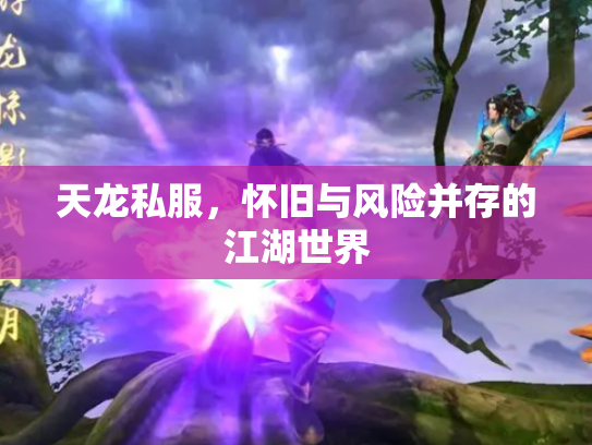 天龙私服，怀旧与风险并存的江湖世界