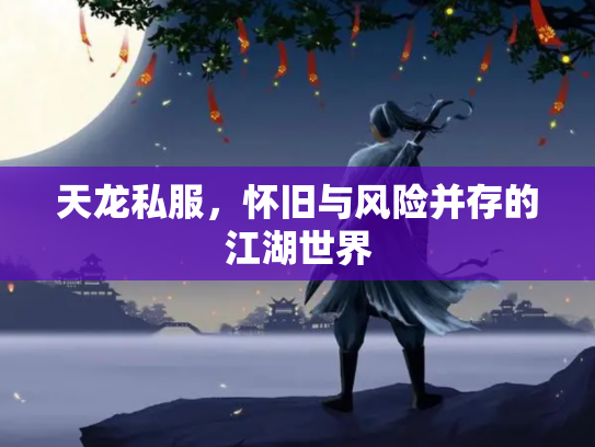 天龙私服，怀旧与风险并存的江湖世界