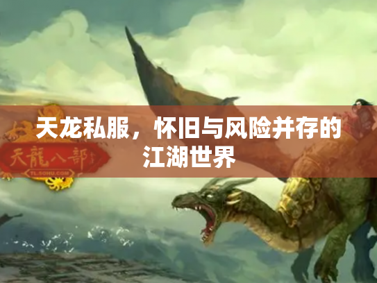 天龙私服，怀旧与风险并存的江湖世界