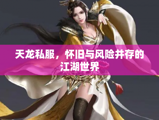 天龙私服，怀旧与风险并存的江湖世界
