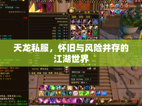 天龙私服，怀旧与风险并存的江湖世界