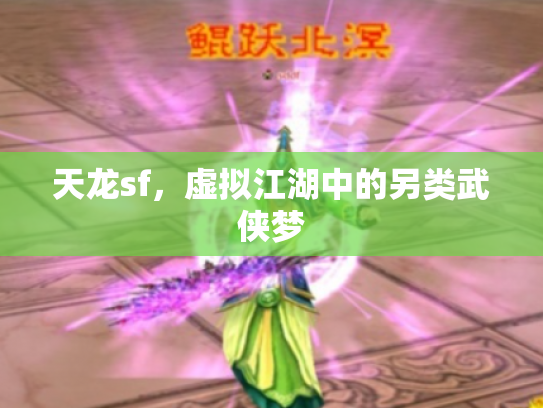 天龙sf，虚拟江湖中的另类武侠梦