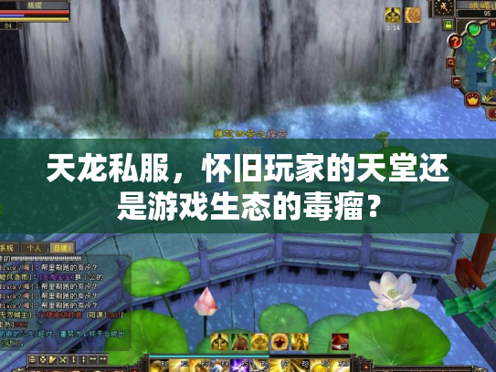 天龙私服，怀旧玩家的天堂还是游戏生态的毒瘤？