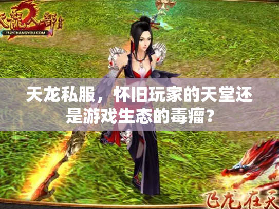 天龙私服，怀旧玩家的天堂还是游戏生态的毒瘤？