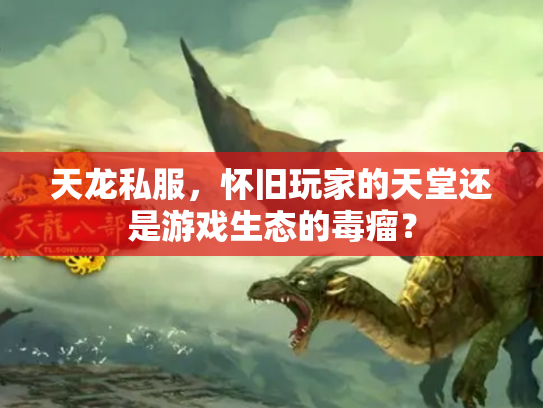 天龙私服，怀旧玩家的天堂还是游戏生态的毒瘤？