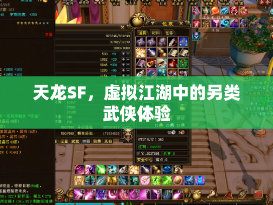 天龙SF，虚拟江湖中的另类武侠体验