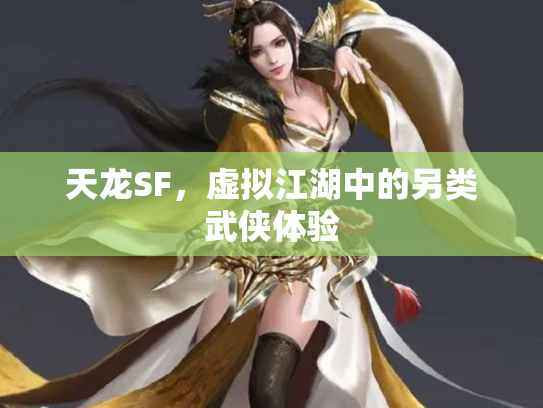 天龙SF，虚拟江湖中的另类武侠体验