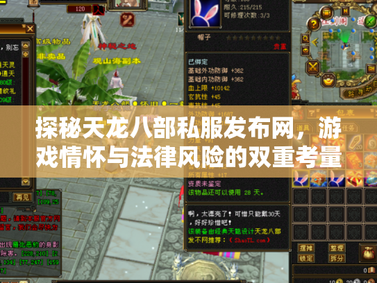 探秘天龙八部私服发布网，游戏情怀与法律风险的双重考量