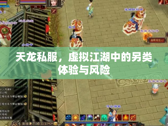 天龙私服，虚拟江湖中的另类体验与风险