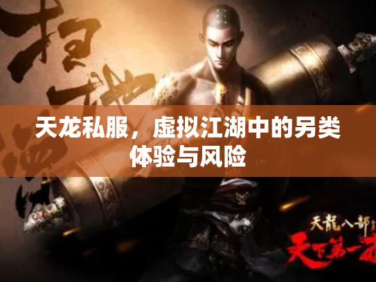 天龙私服，虚拟江湖中的另类体验与风险