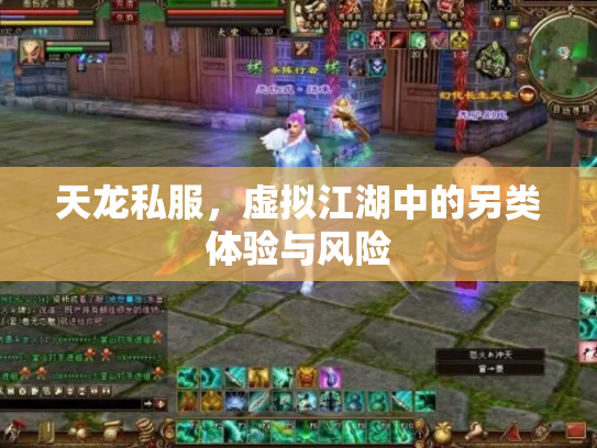 天龙私服，虚拟江湖中的另类体验与风险