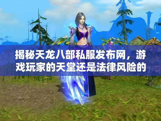 揭秘天龙八部私服发布网，游戏玩家的天堂还是法律风险的深渊？