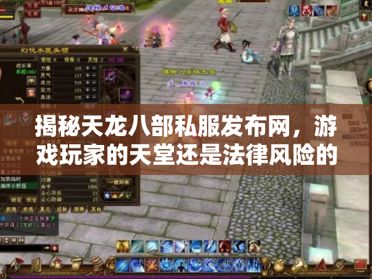 揭秘天龙八部私服发布网，游戏玩家的天堂还是法律风险的深渊？