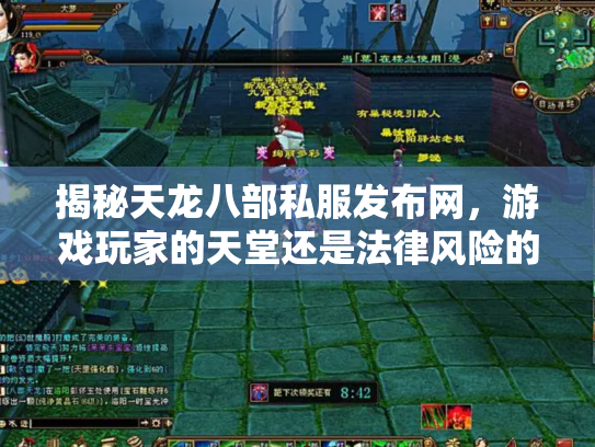 揭秘天龙八部私服发布网，游戏玩家的天堂还是法律风险的深渊？