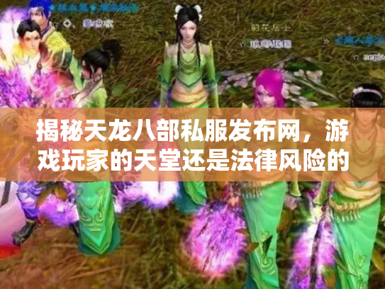 揭秘天龙八部私服发布网，游戏玩家的天堂还是法律风险的深渊？