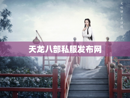 天龙八部私服发布网