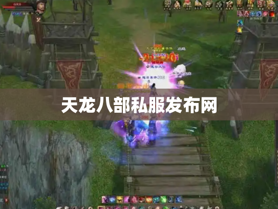 天龙八部私服发布网